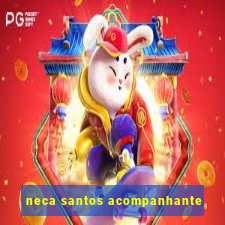 neca santos acompanhante